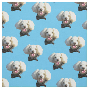 Tissu Motif photo personnalisé Chien Chien Chien Chien C