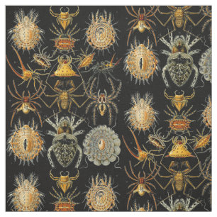 Tissu motif vintage Spiders