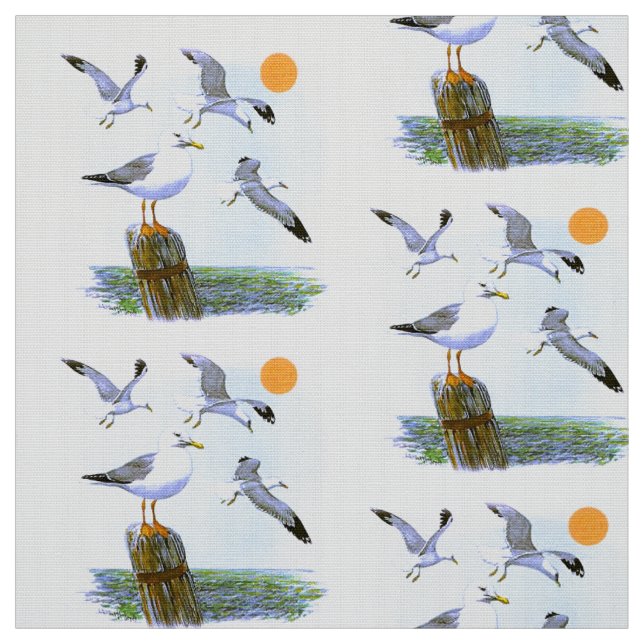 Tissu Mouettes d'observateur d'oiseau (Échantillon)