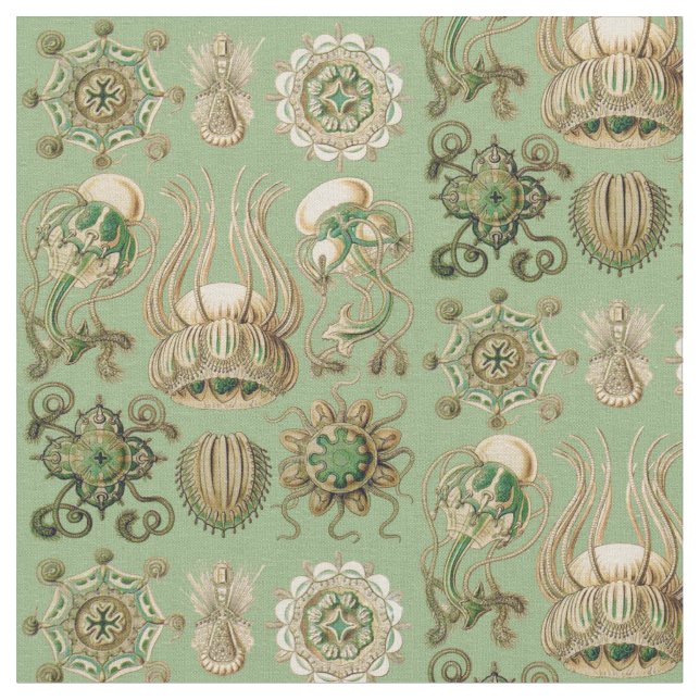 Tissu Narcomedusae d'Ernst Haeckel (Fermer)