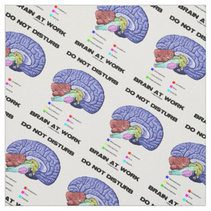 Tissu Ne touchez pas au cerveau au conseil d'anatomie de