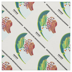 Tissu Nettoyage Intracellulaire à l'Intérieur de l'Endom