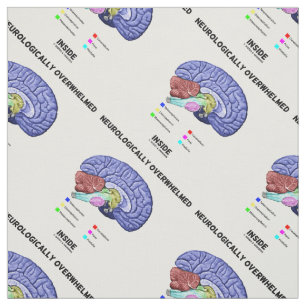 Tissu Neurologiquement dépassée dans l'anatomie cérébral