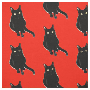 Tissu noir de photographie de chat de Kitty