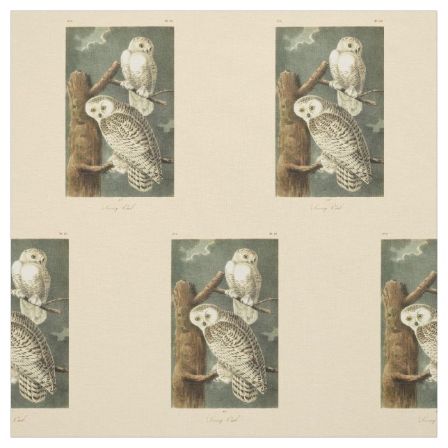 Tissu OEuvre d'OEuf Audubon (Échantillon)