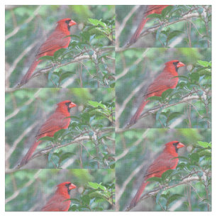 Tissu Oiseau cardinal rouge