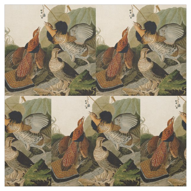Tissu Oiseau de gibier Audubon (Échantillon)