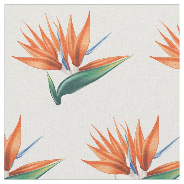 Tissu Oiseau de paradis, fleur exotique de strelitzia (Fermer)