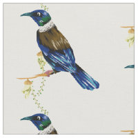 Oiseau indigène de Tui Nouvelle-Zélande