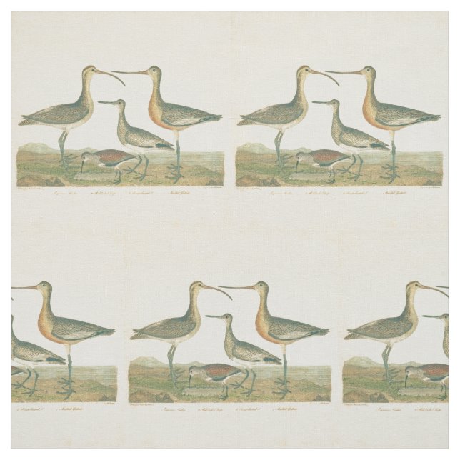 Tissu Oiseaux de marais Courlis Oiseaux (Échantillon)