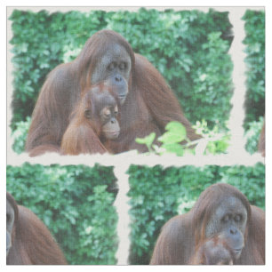 Tissu Orang-outan