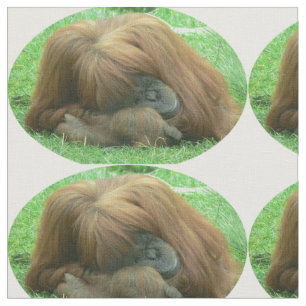 Tissu Orang-outan