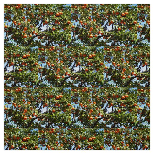 Tissu Oranges (Échantillon)