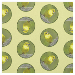 Tissu Orchard Oriole Femme au printemps Photo originale