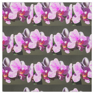 Tissu Orchidées roses