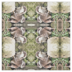 TISSU OTTERS