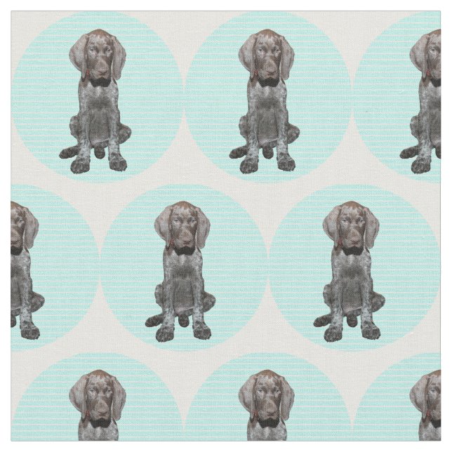 Tissu Ours gris brillant dans le bleu (Fermer)