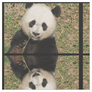 Tissu Ours panda géant mignon