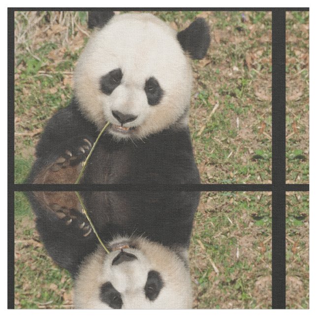 Tissu Ours panda géant mignon (Fermer)