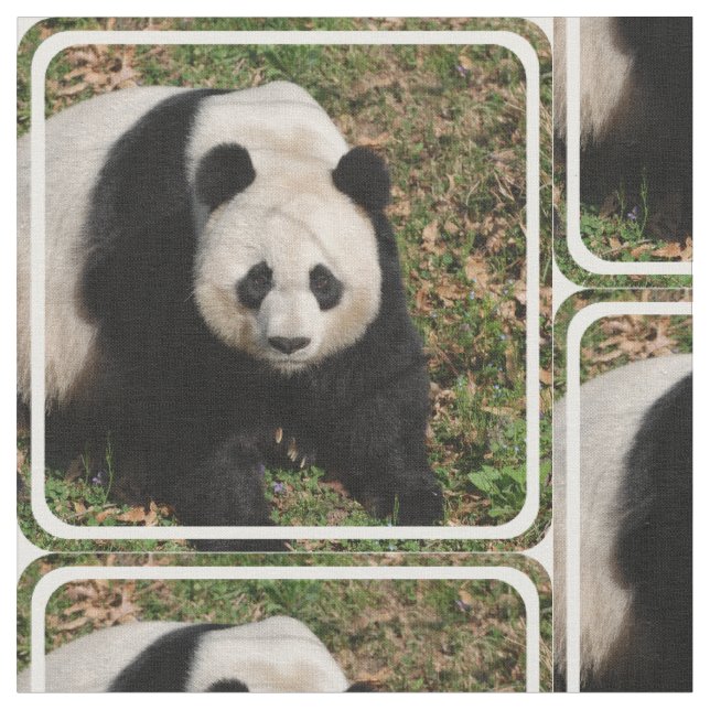 Tissu Ours panda irritable (Fermer)