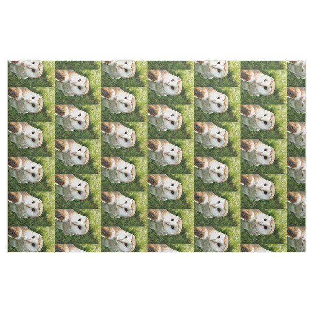TISSU OWLS (Fat Quarter)