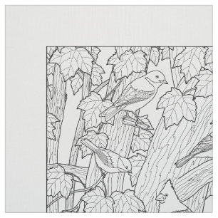Tissu Page de coloration pour adultes des oiseaux et de 