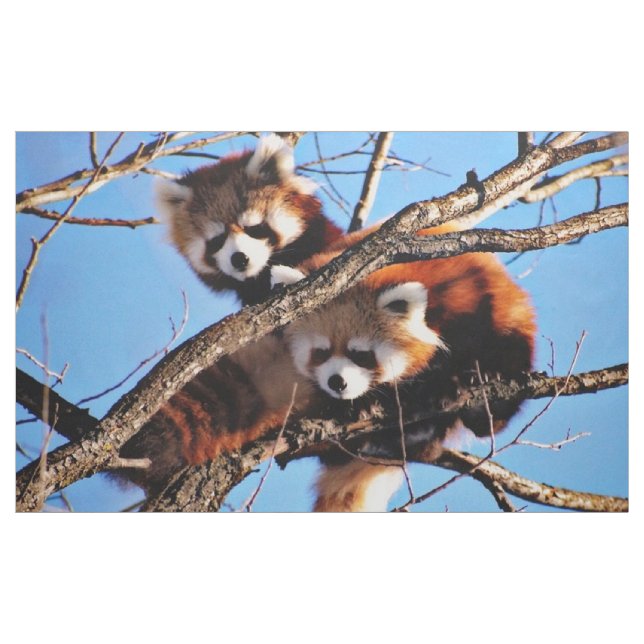 Tissu pandas rouges (Yard)