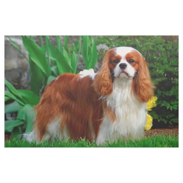 Tissu Panneaux de chiens Blenheim Cavalier King Charles  (Yard)