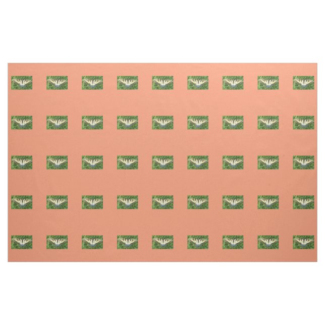 Tissu Papillon (Yard)