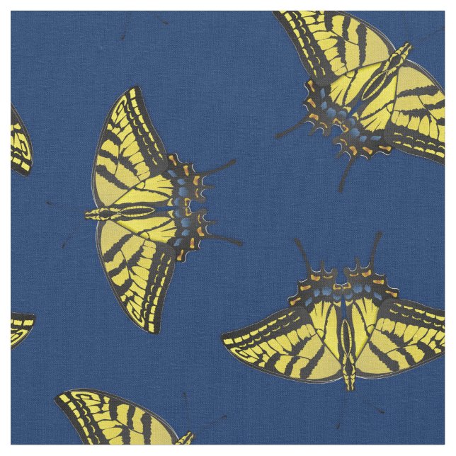Tissu Papillon à queue épaisse du tigre oriental (Fermer)