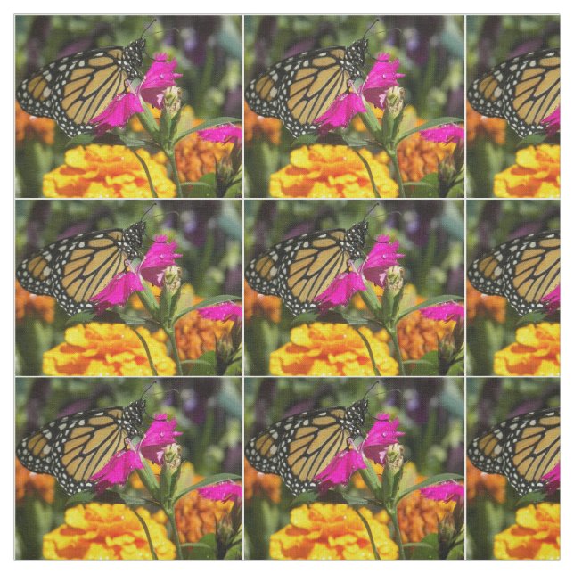 Tissu Papillon Monarque sur marigold rose (Échantillon)
