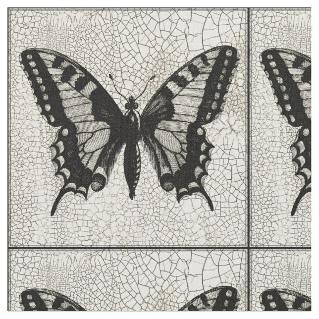 Tissu Papillon noir et blanc sur Arrière - plan fissuré (Fermer)