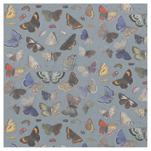 Tissu Papillons, 1842 (Fermer)