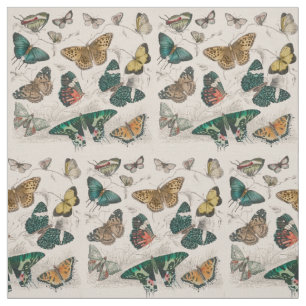 Tissu Papillons Collection Antique Papillons