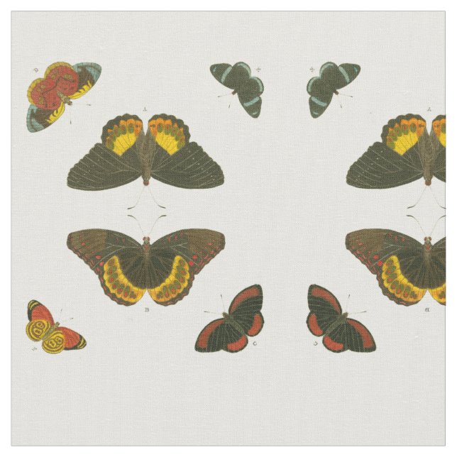 Tissu Papillons lumineux par Pieter Cramer (Fermer)