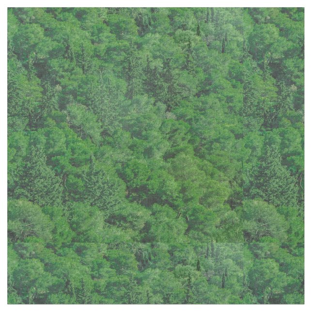 Tissu Paysage de la forêt feuillue (Fermer)
