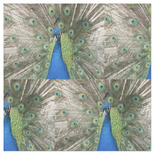 Tissu Peacock bleu