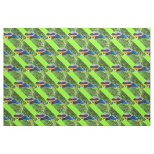 Tissu Peacocks
