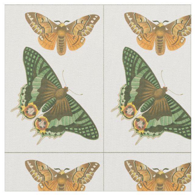 Tissu Peinture à papillon légèrement frontière (Fermer)