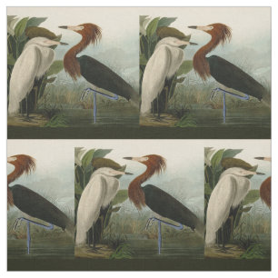 Tissu Peinture de la faune d'Audubon Heron violet