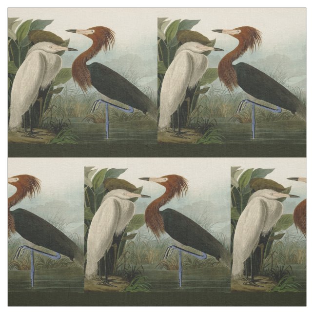 Tissu Peinture de la faune d'Audubon Heron violet (Échantillon)