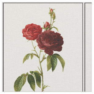 Tissu Peinture de roses vintages rouge profond