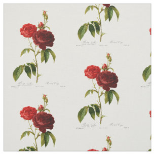 Tissu Peinture de roses vintages rouge profond