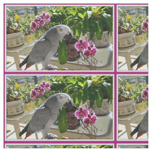 Tissu Perroquet de gris africain avec des orchidées (Fermer)