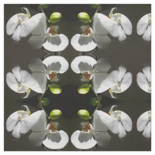 Tissu photo d'orchidée blanche, photo à fleurs blanches 