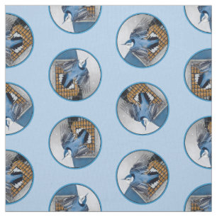 Tissu Photo originale du vol Nuthatch à poitrine blanche