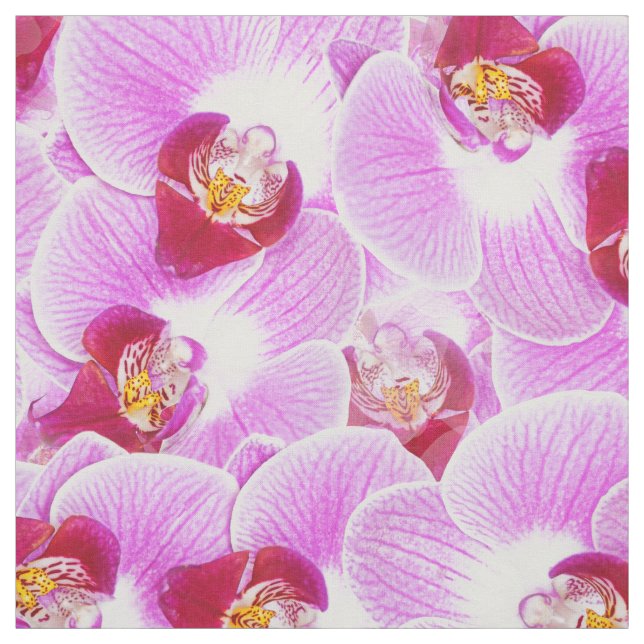 Tissu Photo rayonnante de nature d'orchidée de la BG de (Échantillon)