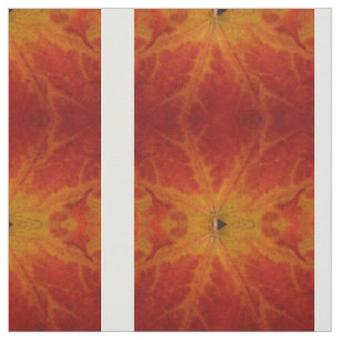 Tissu Photographie abstraite de la feuille d'érable roug