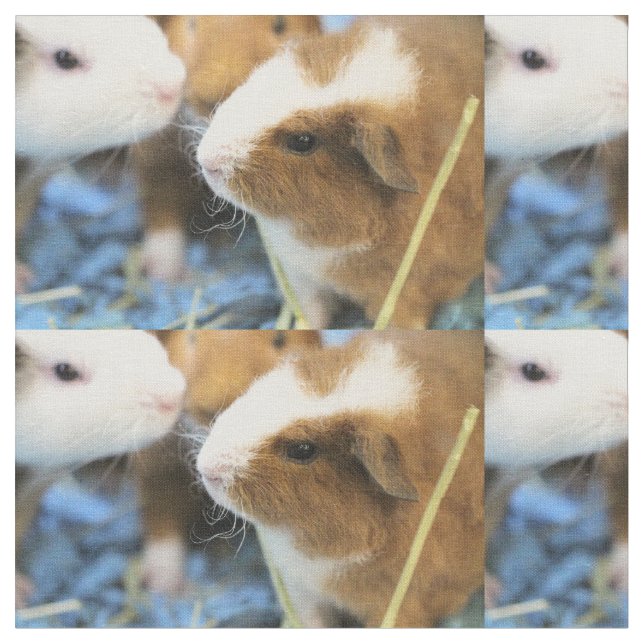 Tissu Piggy (Fermer)