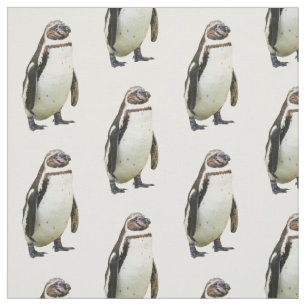 Tissu Pingouin sur le blanc